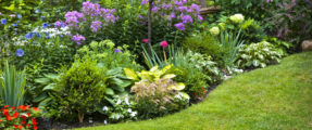 Profitable & Growing Landscape Design/Build & Maintenance Business For Sale!