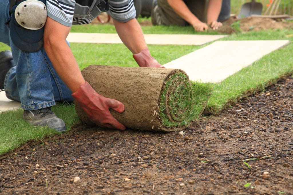 landscaping business for sale michigan