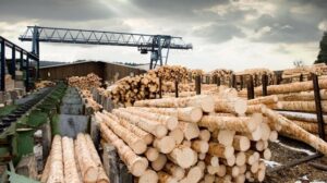 Absentee Owned Full-Service Sawmill