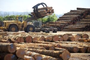 Long-Standing West Michigan Sawmill