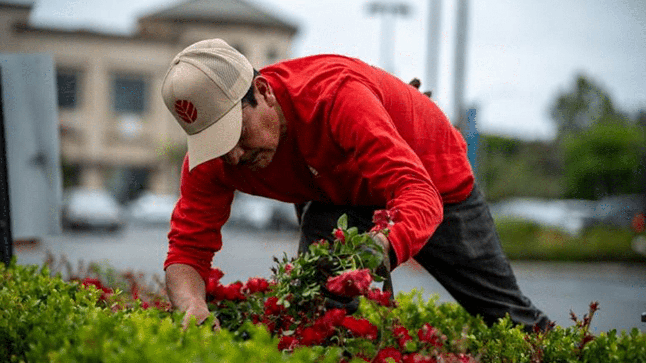 Gentry Landscape of Orange County, CA, Acquired by Strata Landscape Services of Los Angeles, CA
