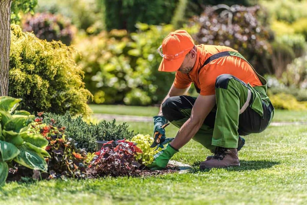 landscaper-trimming-bush